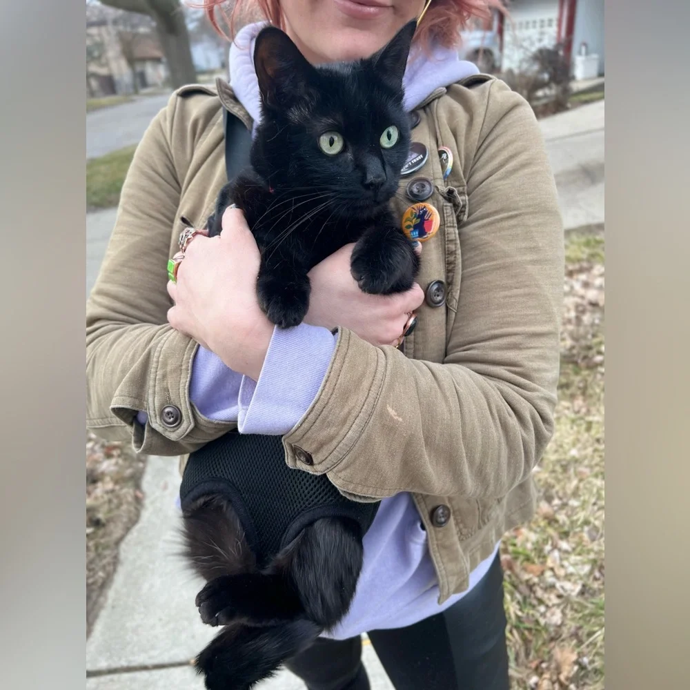 Pet Carrier Backpack - Adjustable